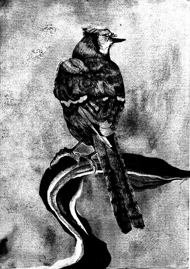 Em "Na Gaiola do Pássaro", um amante recorda seu romance enquanto escreve uma carta;